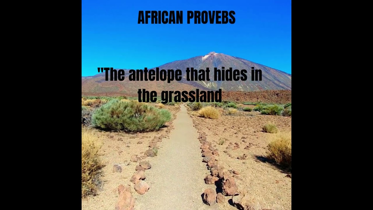 AFRICAN PROVEBS #shortsyoutube ,the richness of African wisdom, capturing the values, traditions,