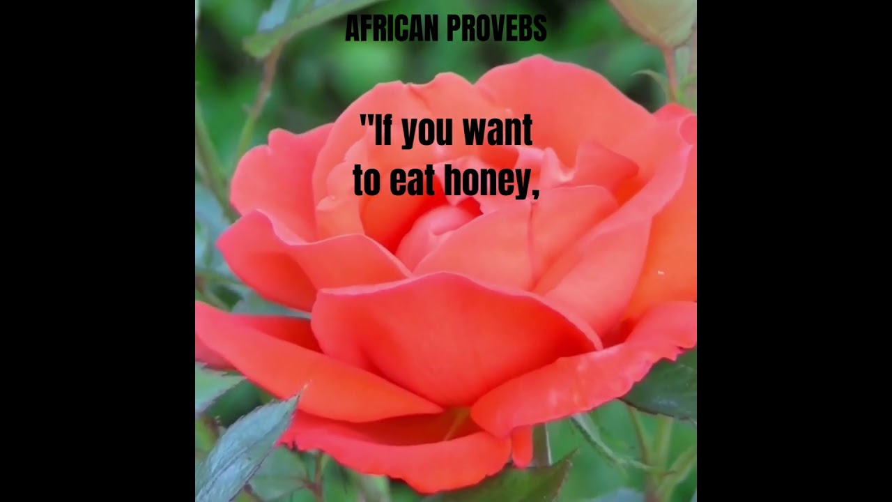 AFRICAN PROVEBS #shortsyoutube ,the richness of African wisdom, capturing the values, traditions,