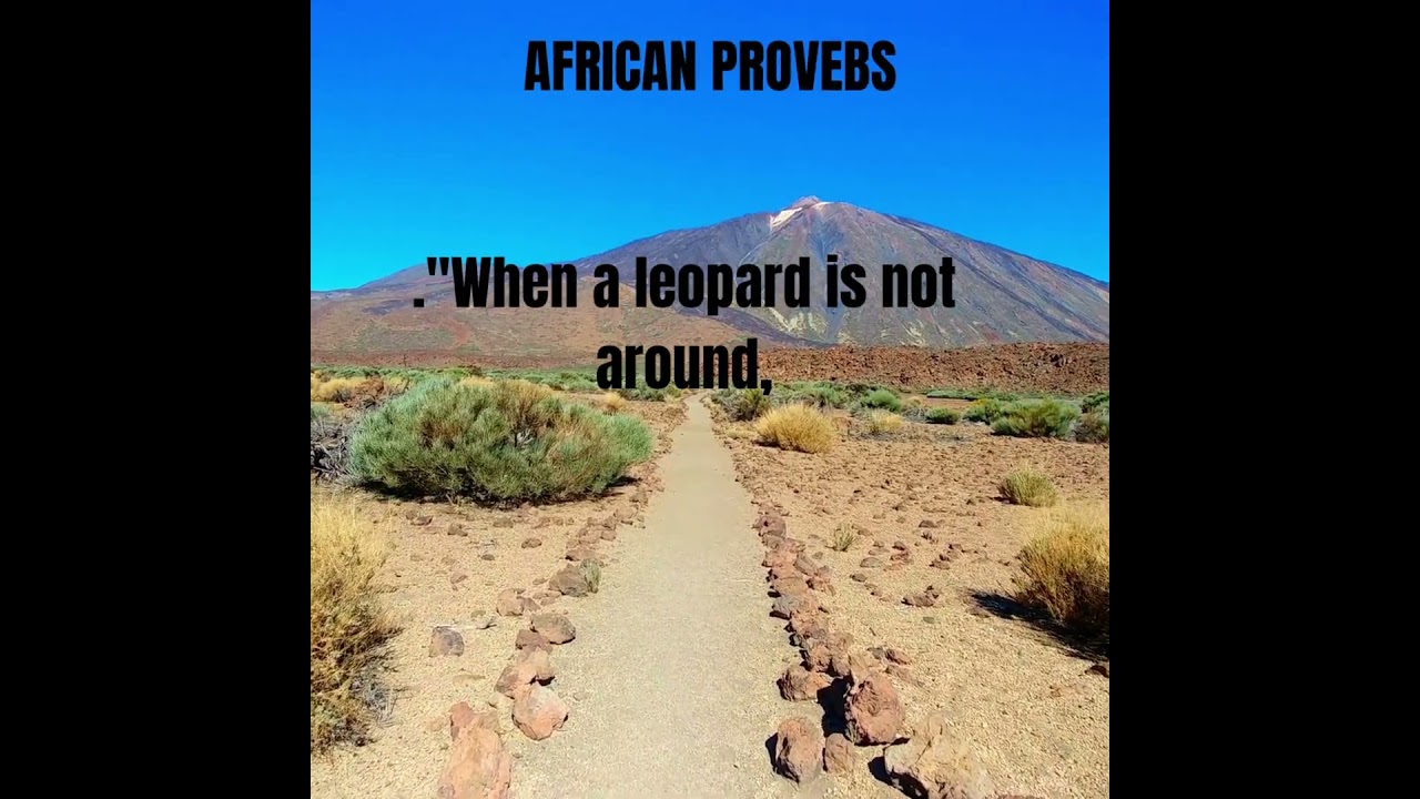 AFRICAN PROVEBS #shortsyoutube ,the richness of African wisdom, capturing the values, traditions,