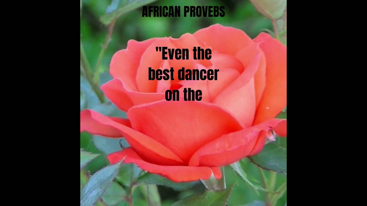 AFRICAN PROVEBS #shortsyoutube ,the richness of African wisdom, capturing the values, traditions,