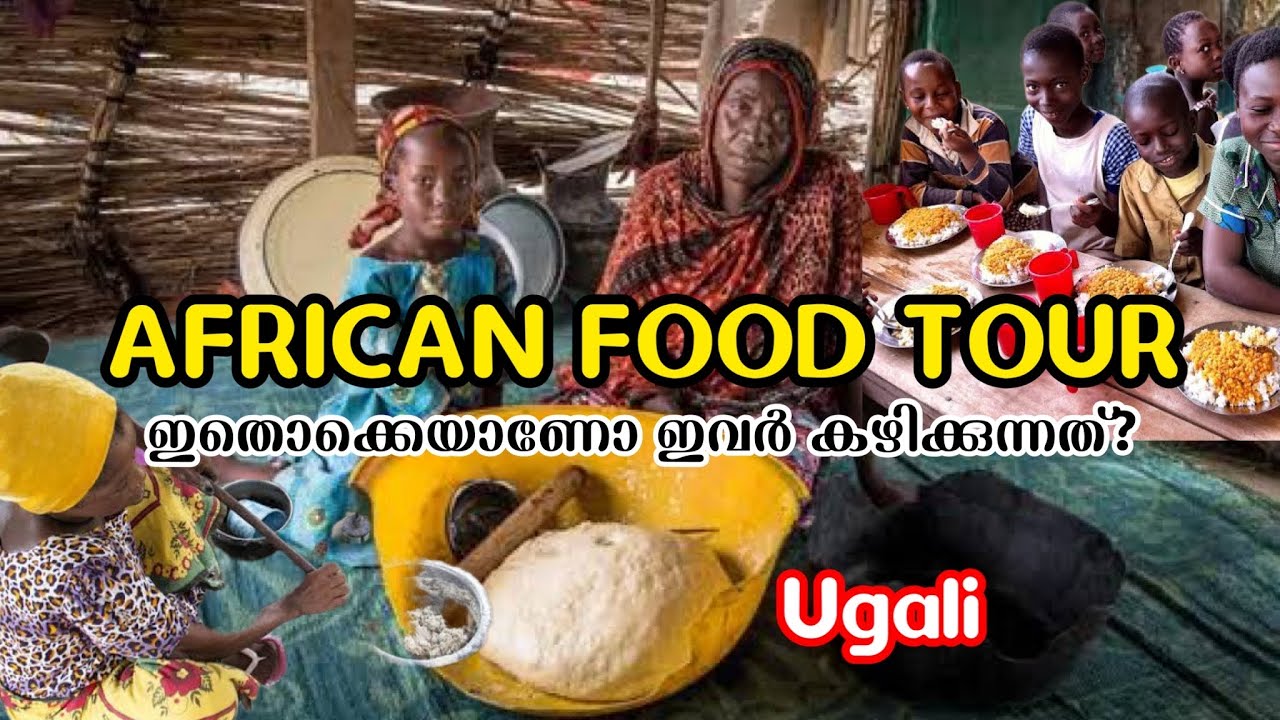 African food tour ഇതൊക്കെയാണോ ഇവർ കഴിക്കുന്നത്?