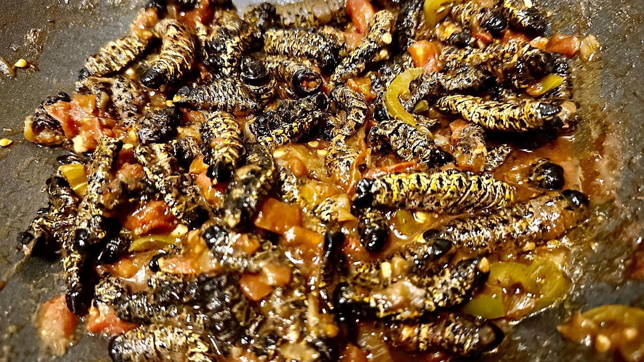 Mopane Worms Recipe || South African Food || FreshQho