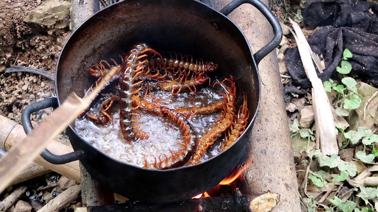 The jungler catches and cooks delicious grilled centipedes