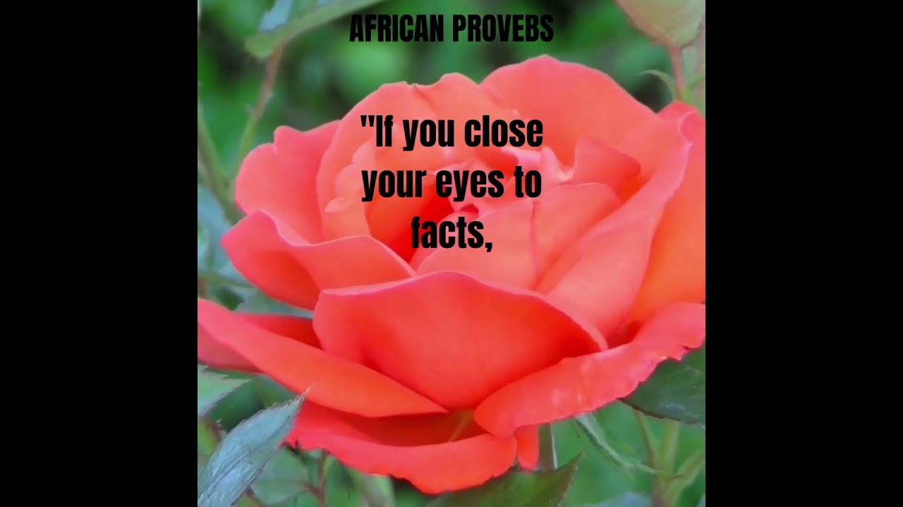 AFRICAN PROVEBS #shortsyoutube ,the richness of African wisdom, capturing the values, traditions