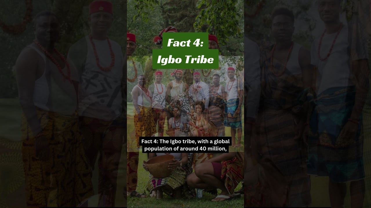 5 Interesting Traditions in Nigeria #facts #factshorts #shorts #history  #africanhistory