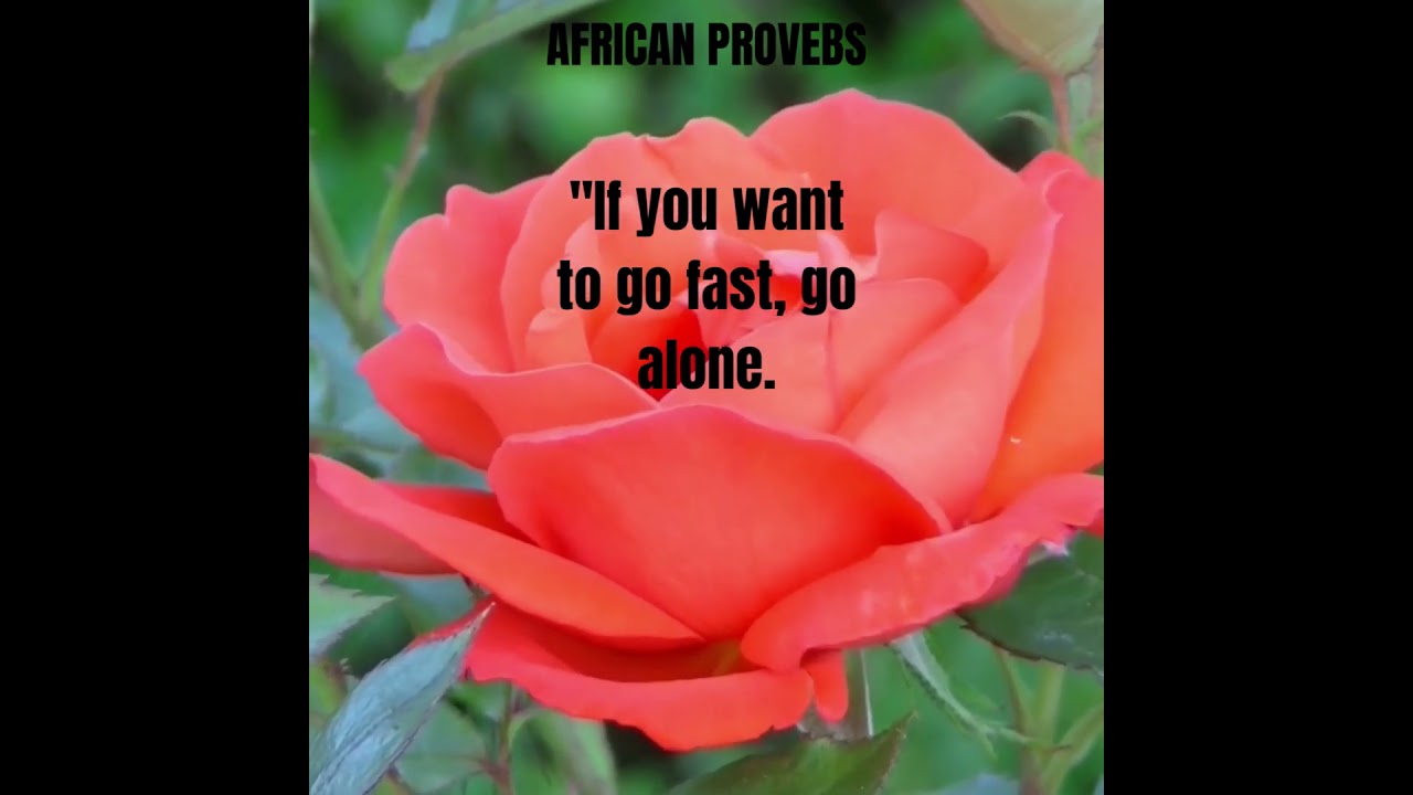 AFRICAN PROVEBS#shortsyoutube ,the richness of African wisdom, capturing the values, traditions,