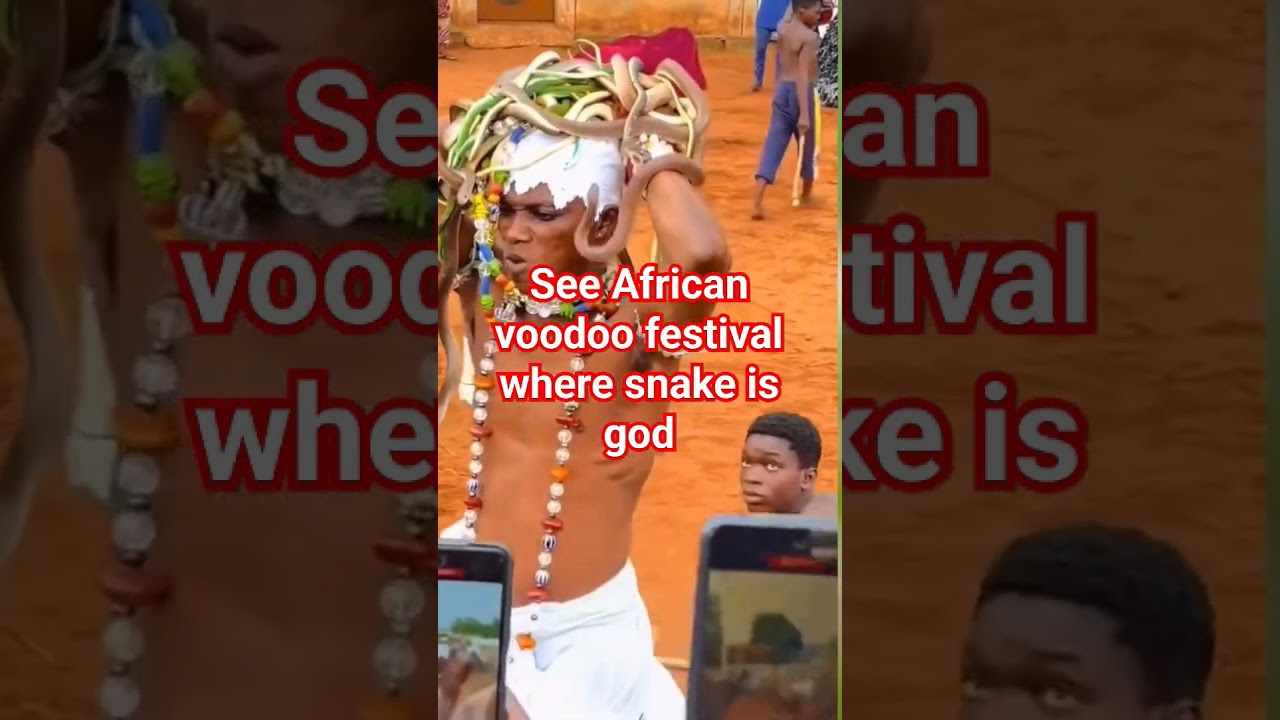 African voodoo festival where snake is god