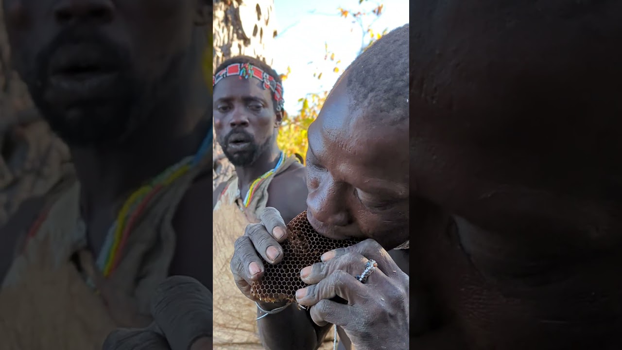 Hadza bushman enjoying his favorite meal #hadzabetribe #shortsfeed