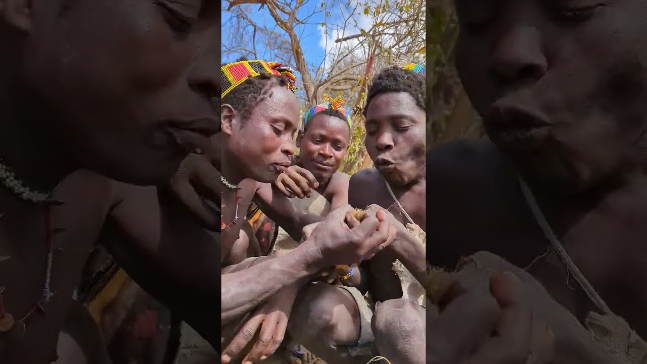 It’s Beautiful day Hadza boys got their favorite Roots for Lunch #hadzabetribe #villagelife