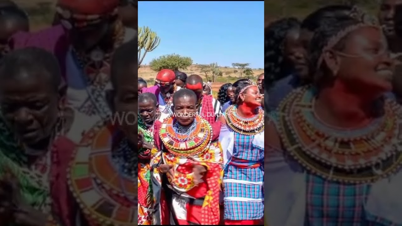 Maasai Tribe Wedding Traditions | Maasai Tribe Rituals | #shorts | #ytshorts | Wonderful Dunya