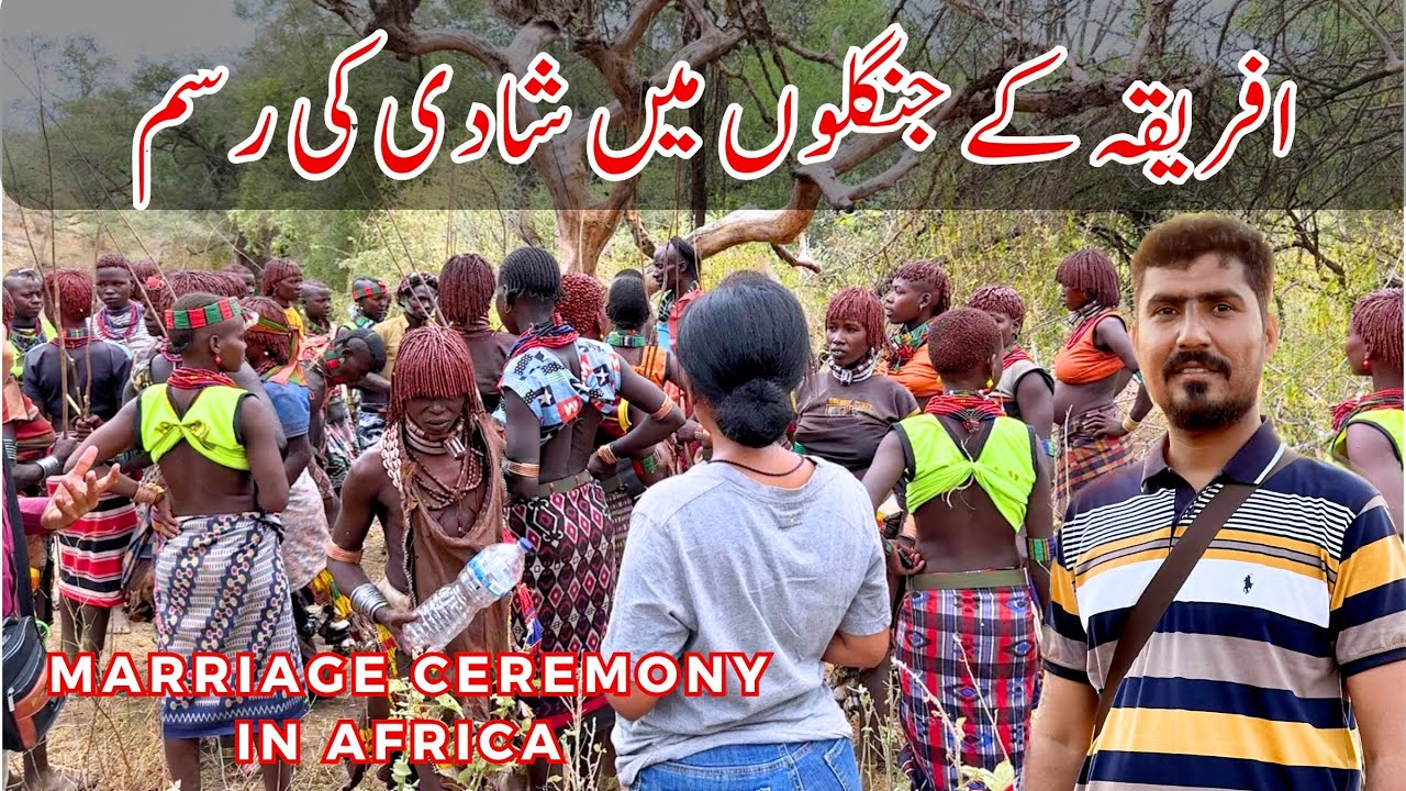 Marriage Ceremony in Ethiopia Jungle (Africa) || Hammer Tribe Marriage Rituals