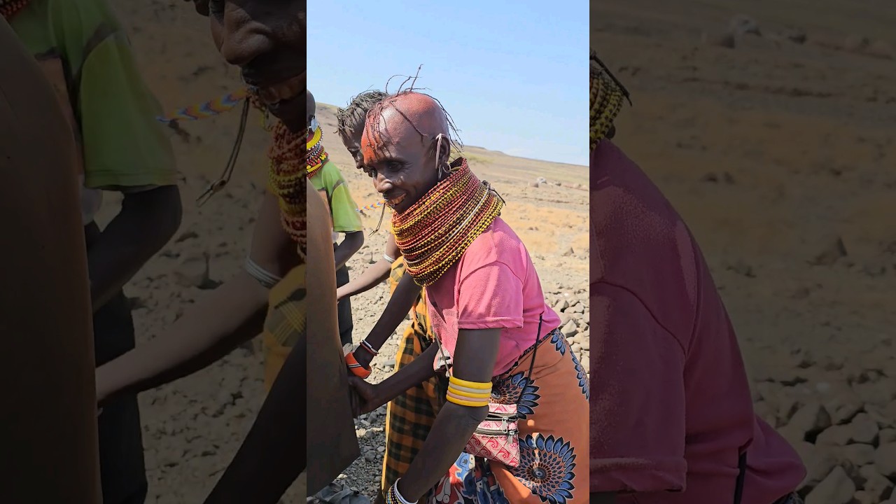 Turkana Tribe Traditional Dance #shortsfeed #africa #africanculture