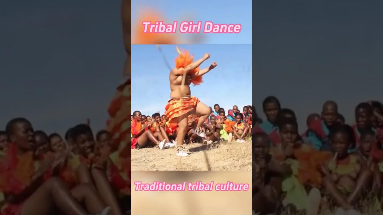 Zulu tribe. African cultures and traditions. #shortsfeed #shortsvideo #funny #viral