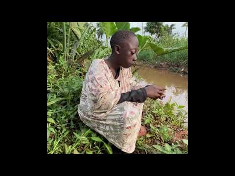 Tenge Tenge Eating African Food