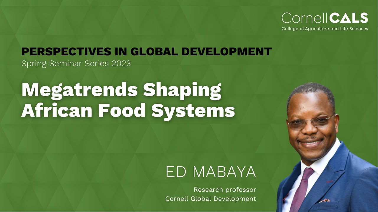 Megatrends Shaping African Food Systems