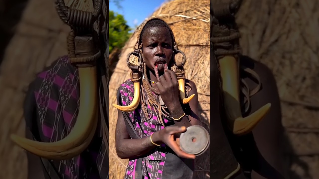 The Mursi tribe in Ethiopia is renowned for their distinctive tradition of wearing lip plates#shorts