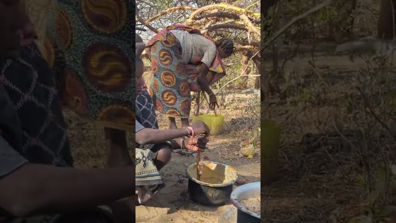 Village Cooking African Food