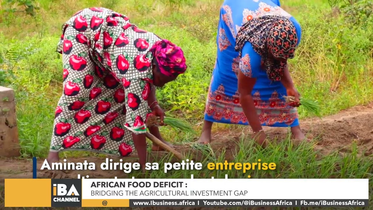 AFRICAN FOOD DEFICIT: BRIDGING THE AGRICULTURAL INVESTMENT GAP