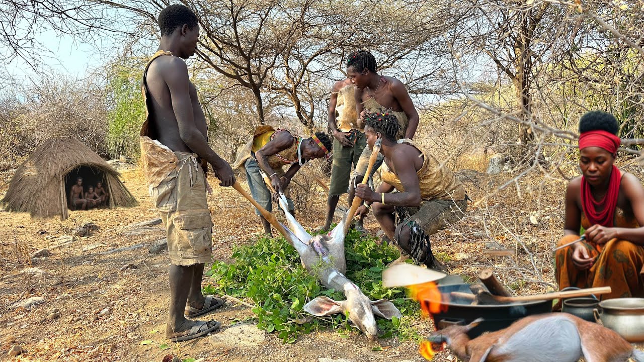 Hadza Cooking Wild Food in African Forest! The life of the hunters (2024)