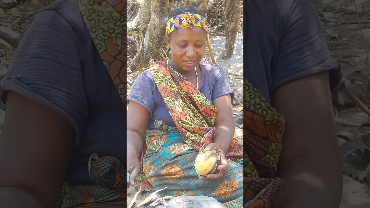 Amaizing sweetpotatoes‼️#food #hadzabetribe #nature #villagelifeinindia #africa #villagelife