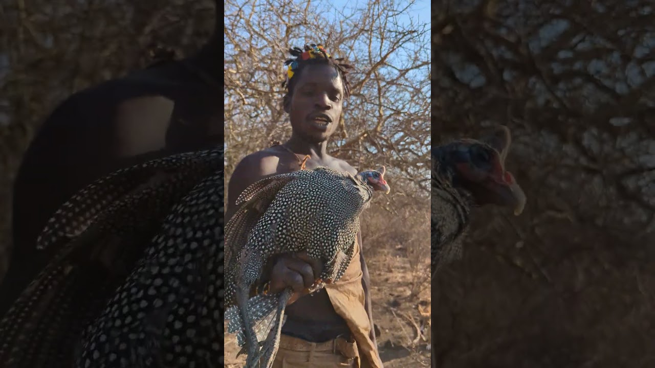 Watch how he catches Big Bird #africa #africantribe #food #hadzabetribe #africanfood #trending #fyp