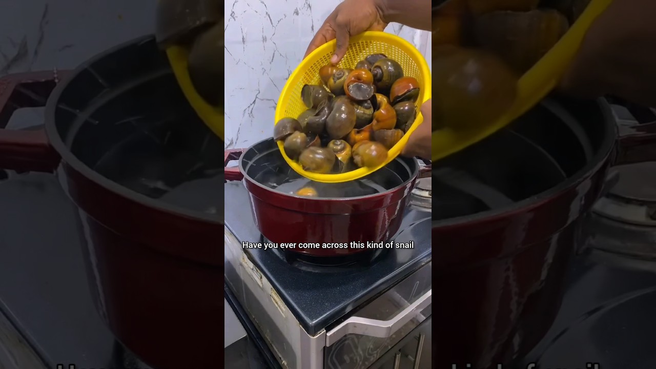 Snail cooking in an African restaurant – Nigerian YouTubers making African food #snail #africanfood