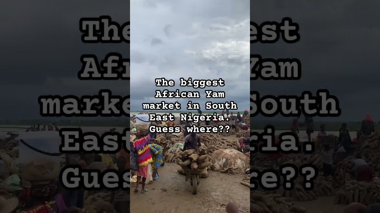 Yam market by the River Niger banks. African food. Healthy food. #fypシ゚viral #fyp #food #health #fy