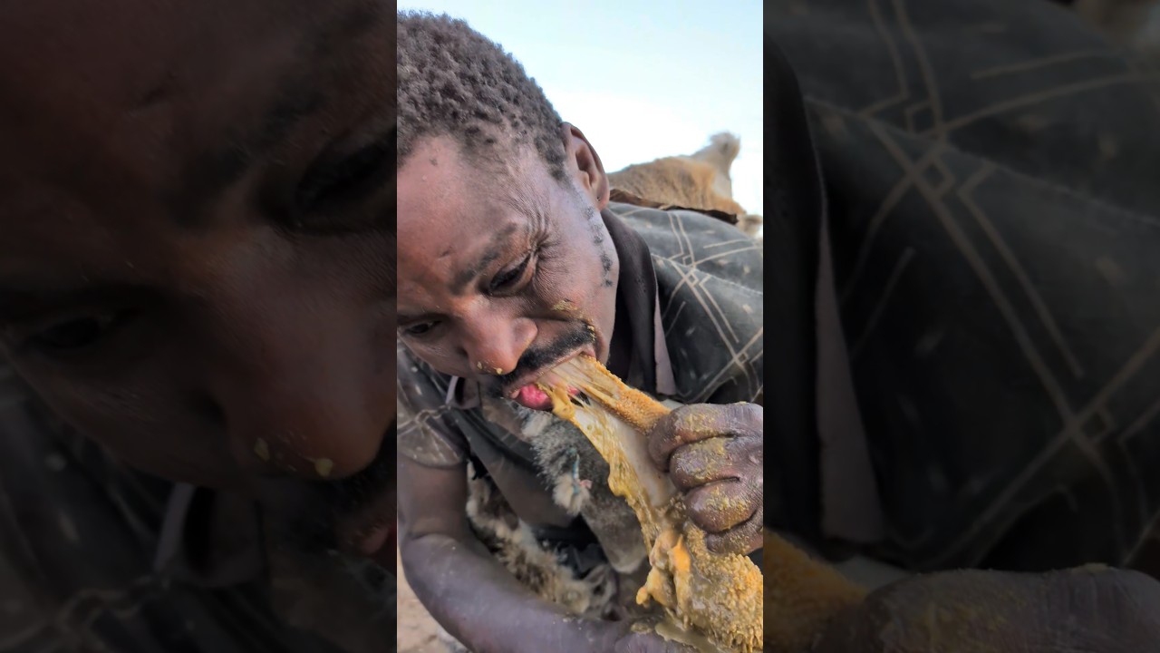 Hadzabe man enjoying his favorite meal for a dinner #hadzabetribe #food #africa #villagelife