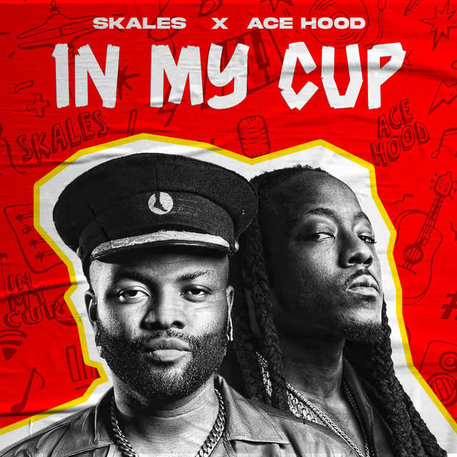 Download Music Mp3:- Skales Ft Ace Hood – In My Cup