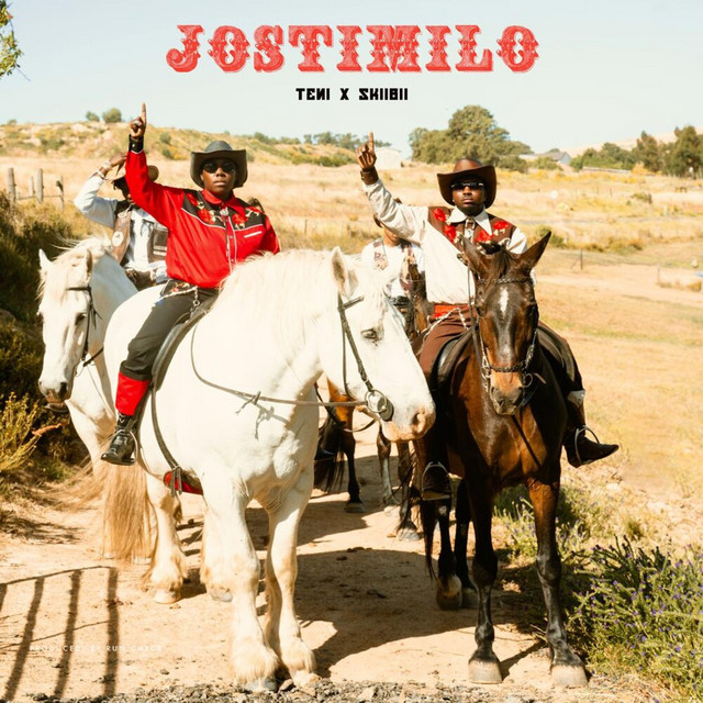 Download Music Mp3:- Teni Ft Skiibii – Jostimilo